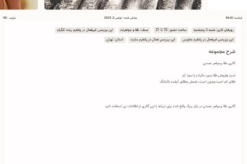 متاپیج | metapage ثبت تبلیغات بیزینس ها در متاورس - ثبت تبلیغات بیزینس ها در ربات تلگرام - ثبت تبلیغات بیزینس ها در سایت متا پیج - meta page